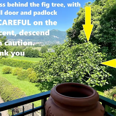 Lukas Con Il Cuore * Merone