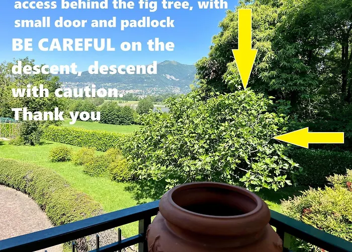 Lukas Con Il Cuore * Merone