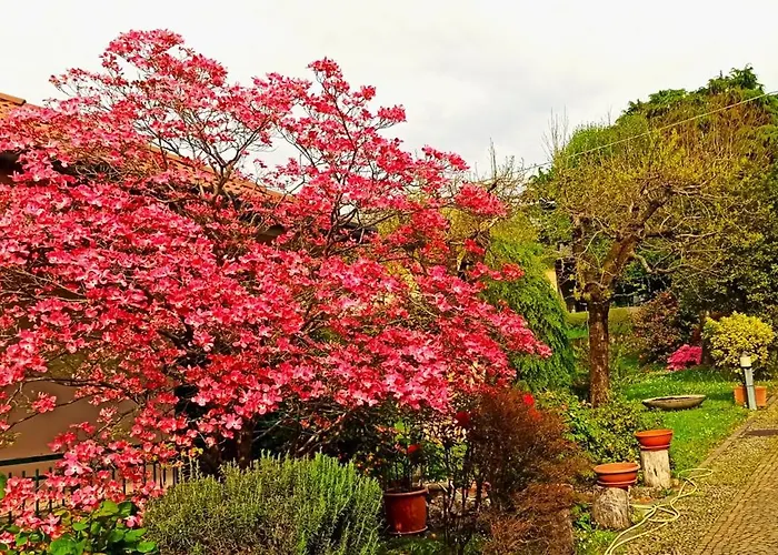 Lukas Con Il Cuore Lejlighed