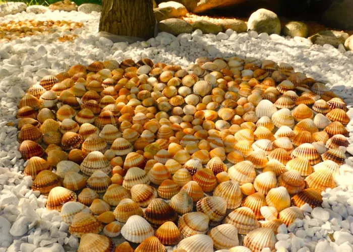 Lukas Con Il Cuore Merone